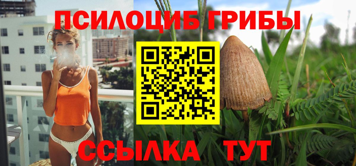 Вязники  Псилоцибиновые грибы Psilocybe  Вход с VPN  Галлюциногенные грибы мицелий 